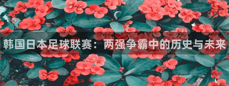 赏金国际正版官网入口下载