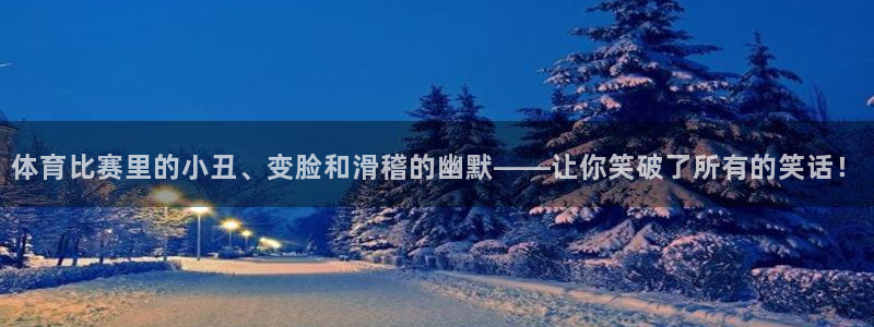 赏金国际服