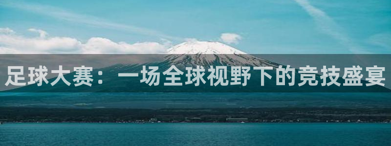 赏金国际app正版官网入口