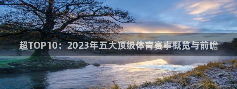 赏金国际在线入口
