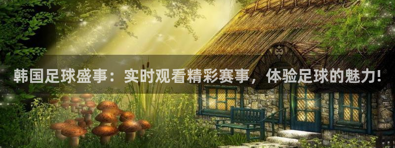 赏金国际官网下载