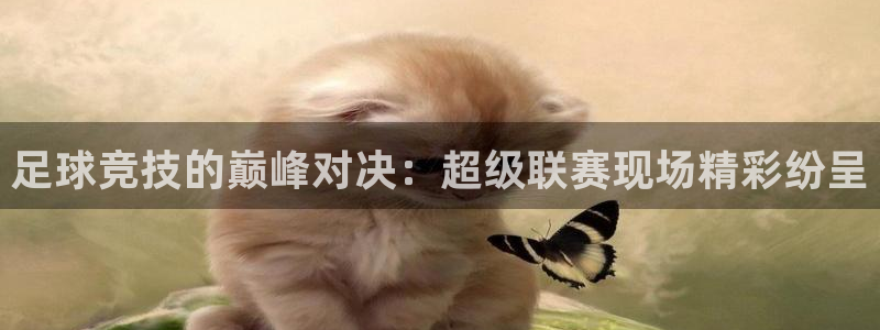 赏金国际电娱乐