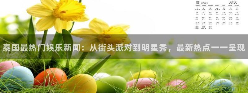 赏金国际官网下载入口