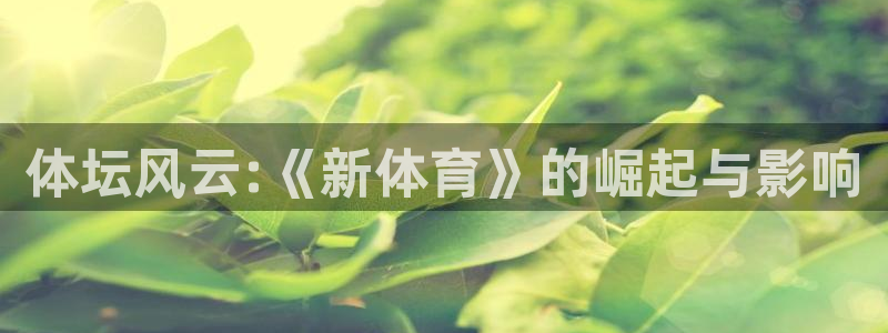 赏金国际pg