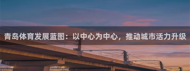 赏金国际台子