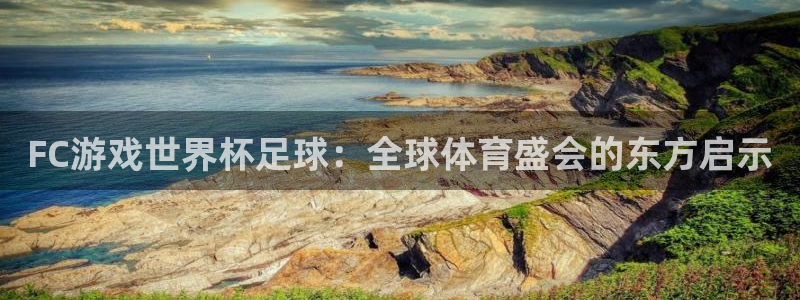 赏金国际网页入口官网下载