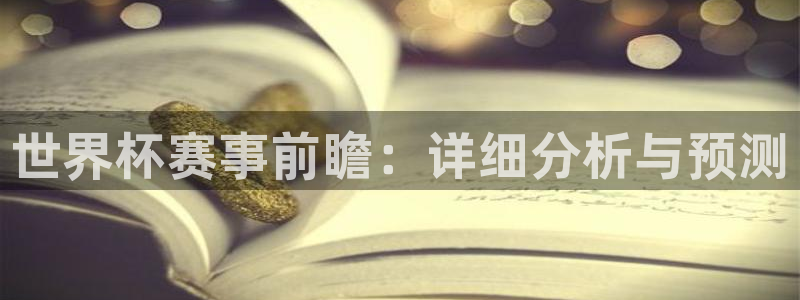 赏金国际.top