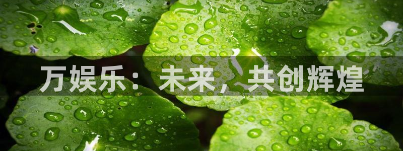 赏金国际app登录入口