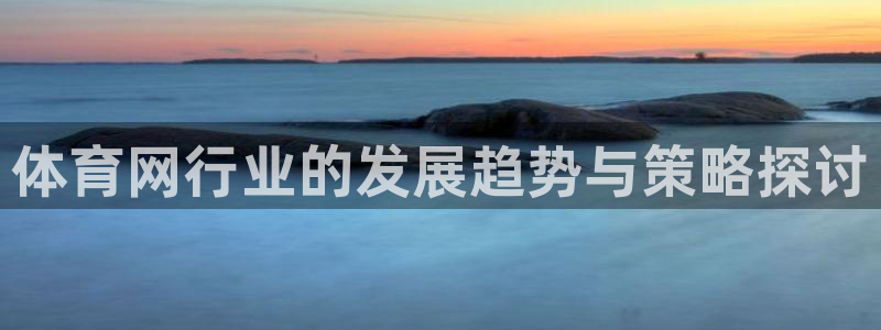 赏金国际下载入口